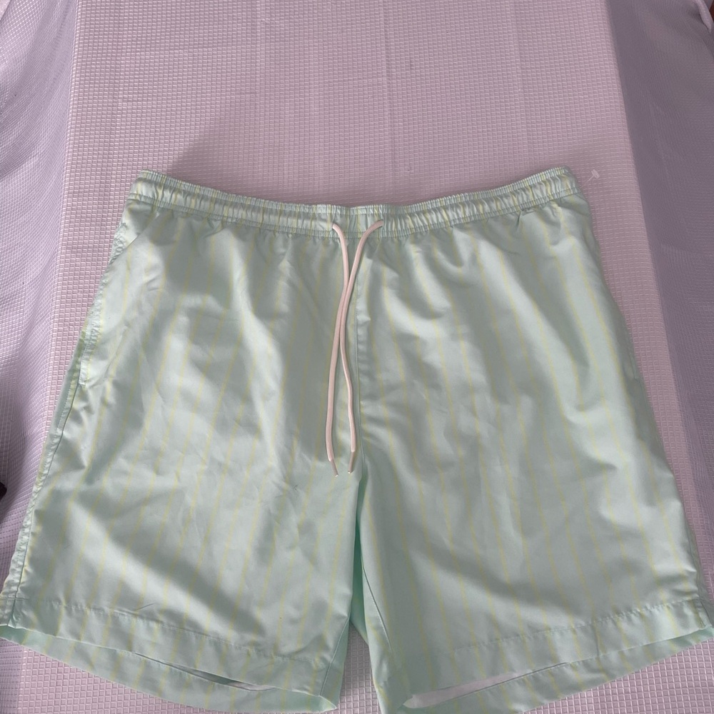 Pacsun Swim Trunks